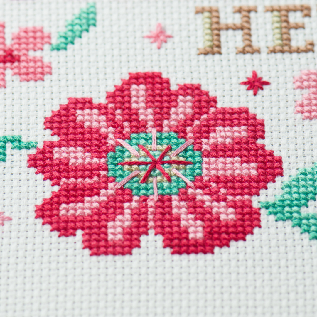 Dandelion Monthly Subscription Club