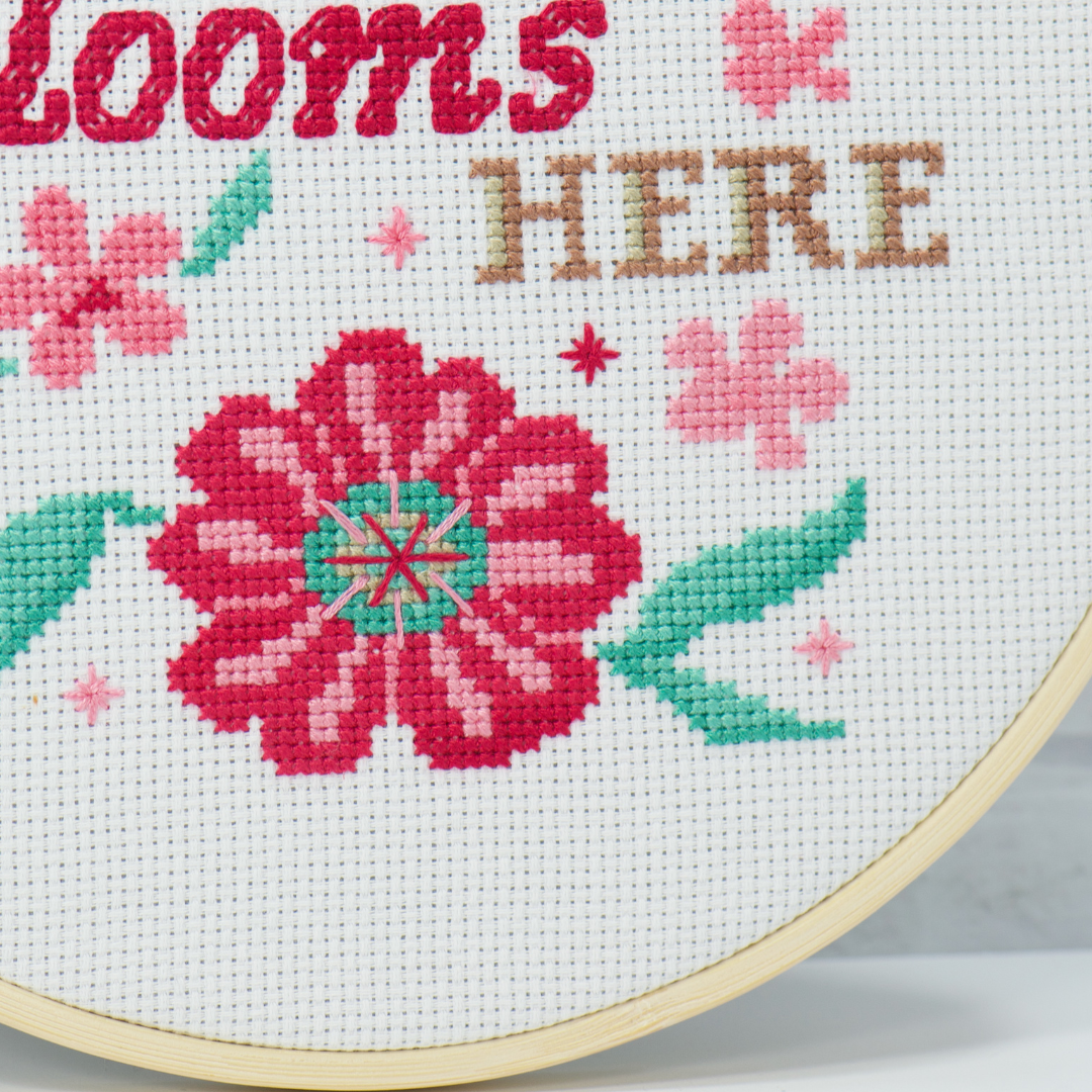 Dandelion Monthly Subscription Club