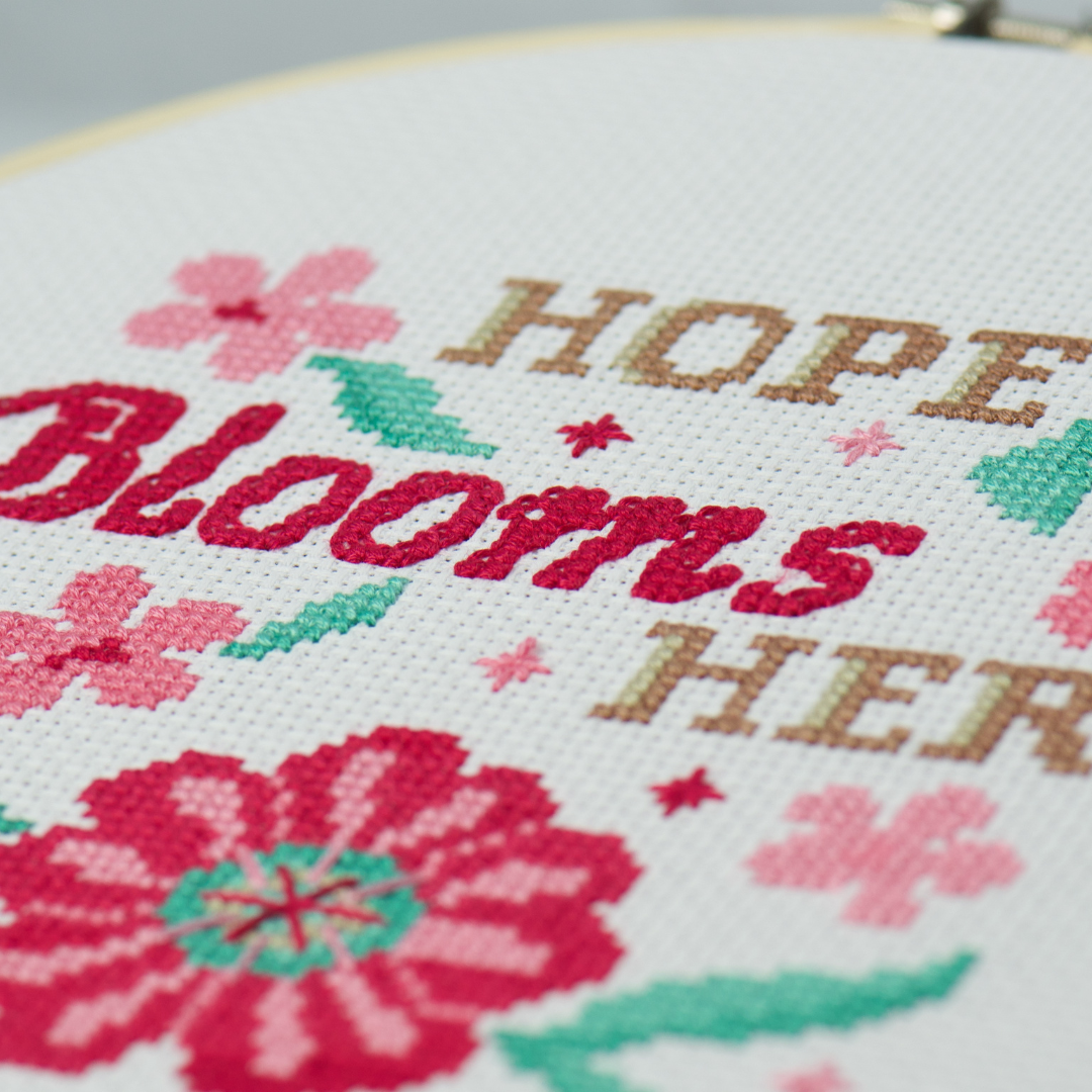 Dandelion Monthly Subscription Club