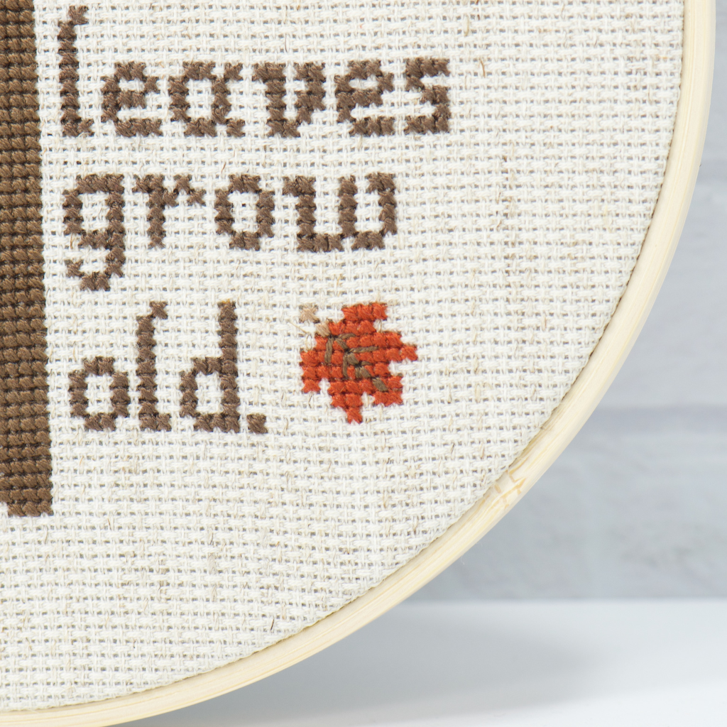 Dandelion Monthly Subscription Club